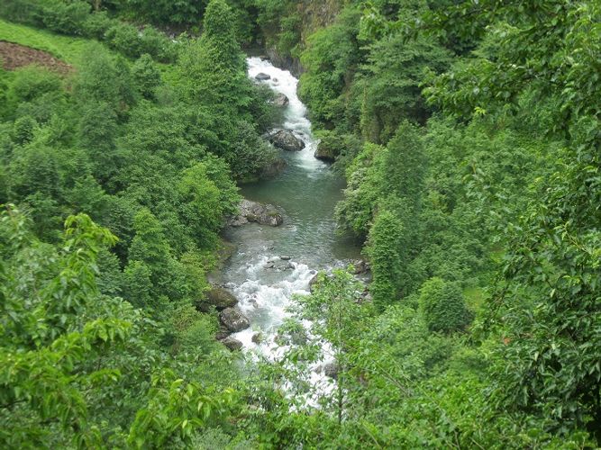 Çay sularımızda bakteriyaların miqdarı yüz dəfələrlə çoxdur