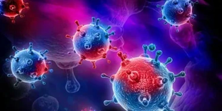 Koronavirus hissəcikləri hansı fəsildə daha tez yox olur?