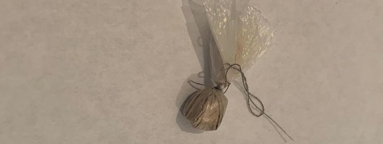 Həbsxanadakı qardaşına narkotik ötürmək istədi