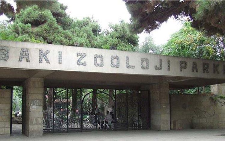 Bakı Zooloji Parkı bu tarixdə açıla bilər: xeyli yeniliklər var - EKSKLÜZİV