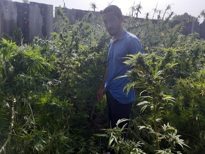 Kənd sakininin evindən 14 kilo narkotik və silah tapıldı