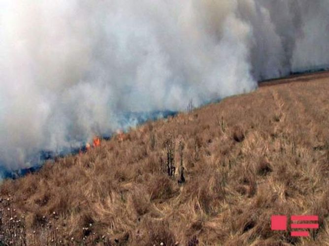 Cəlilabadda dağda yanğın başlayıb 