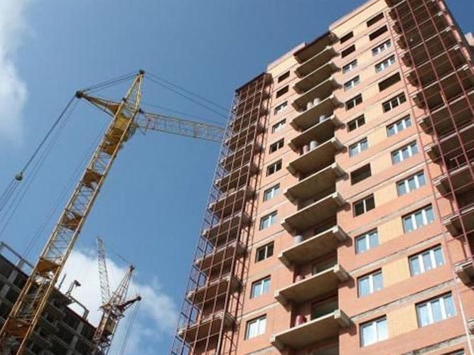 Bina tikmək üçün ağacları kəsən şirkətə cinayət işi açıldı