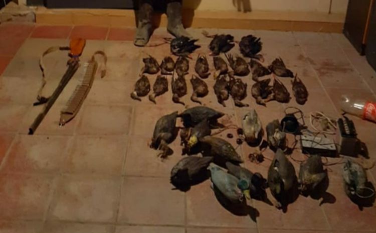 "Qırmızı kitab"a düşən quşları ovlayanlar tutuldu