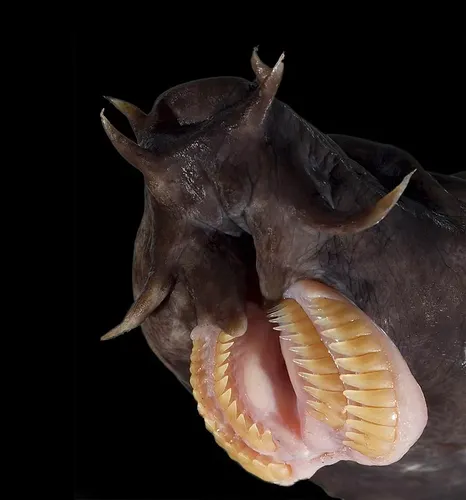 Təbiətin qorxulu üzü: Bu fotolar hər kəsi ŞOKA SALIR... 