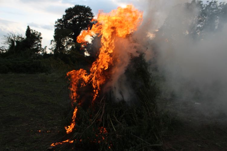 3 tondan çox narkotik yandırıldı 