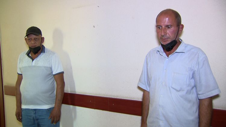 Bakıda 80 baş qoyun oğurlandı - FOTO