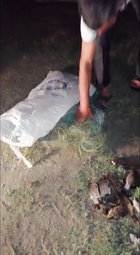 Qızılağac Milli Parkında balıq ovlayan şəxs saxlanıldı