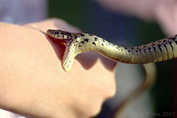 10 azyaşlını ilan sancıb - RƏSMİ AÇIQLAMA