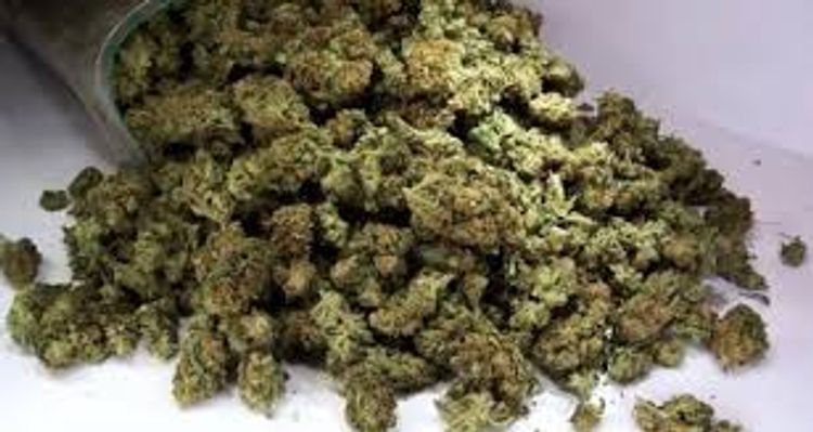 Keçmiş məhkumun evindən 6 kilodan çox narkotik çıxdı