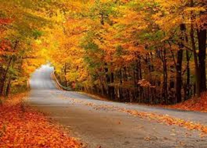 Azərbaycana payız gəlir