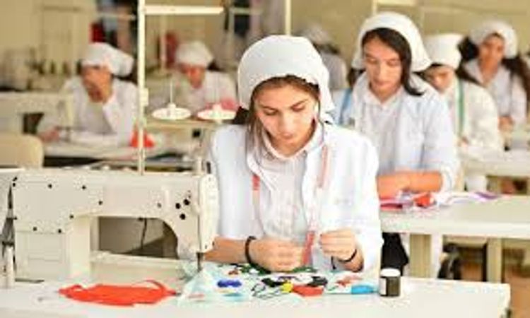  Peşə təhsili ilə bağlı Apellyasiya Komissiyası yaradıldı 