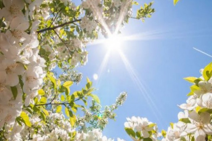 Sabah 29 dərəcə isti gözlənilir -  PROQNOZ 