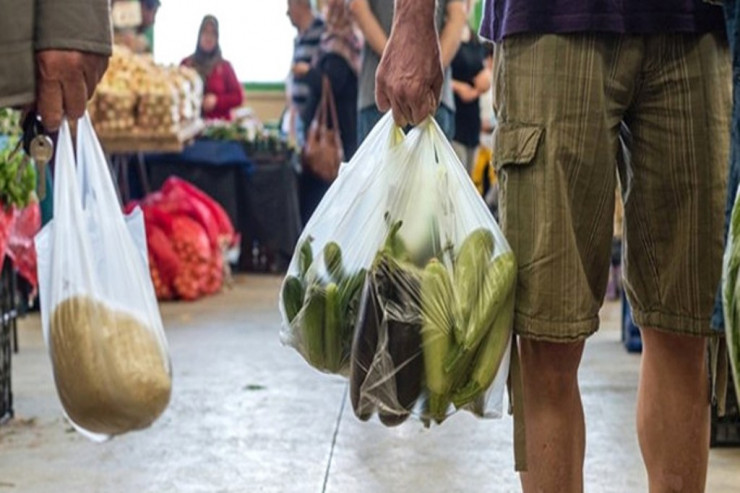 Pulsuz evimizə girən zəhər: Onun məhvinə 850 il lazımdır – ARAŞDIRMA  