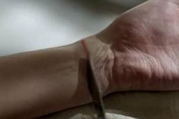 Azərbaycanda sürücü özünü doğradı -  SƏBƏB  