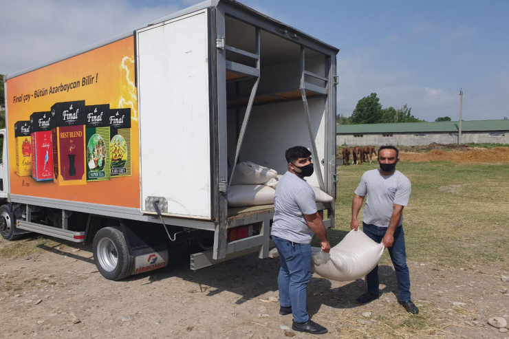 “Azersun Holding” Şəkidə ac qalan atlara yem yardımı göndərdi