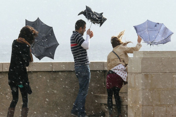 Hər kəsi HEYRƏTLƏNDİRƏN  qurbağa, soxulcan, qolf topu yağışı - VİDEO 