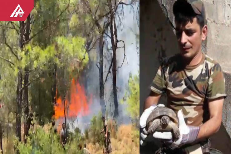 Yanğında heyvanlar belə xilas edilir - APA TV hadisə yerində  -VİDEO 