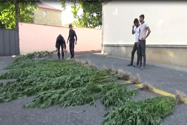 Ələ keçirilən narkotiklər