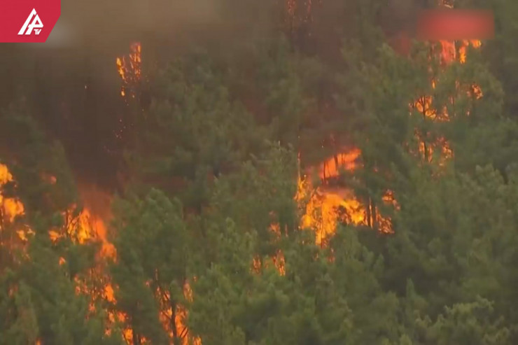 Söndürülmüş ərazilər niyə yenidən alovlanır? - ARAŞDIRMA 