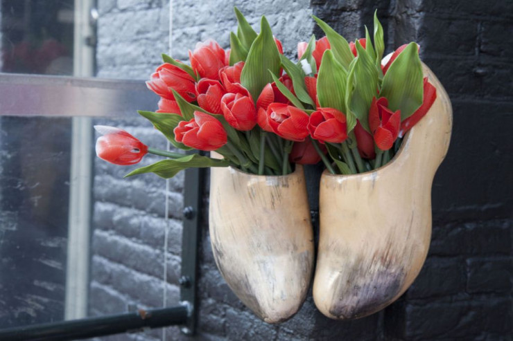 Amsterdamı görmək üçün 19 səbəb  - FOTOLENT 