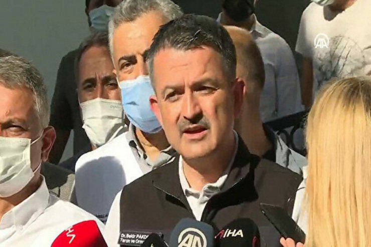 Nazir Bekir Pakdemirli