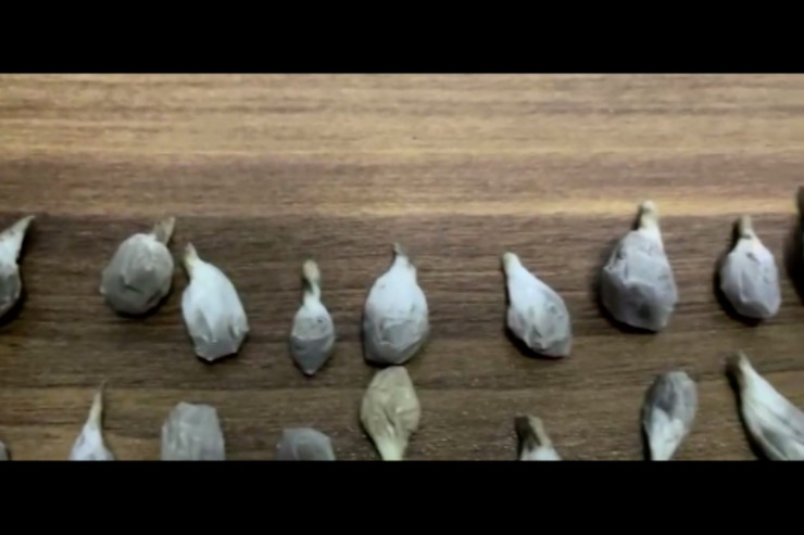 Ələ keçirilən narkotiklər