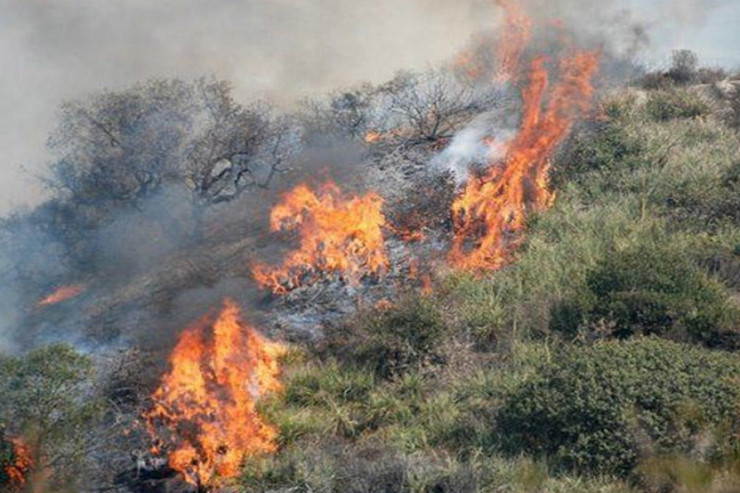 Lerikdə dağlıq ərazi YANIR 