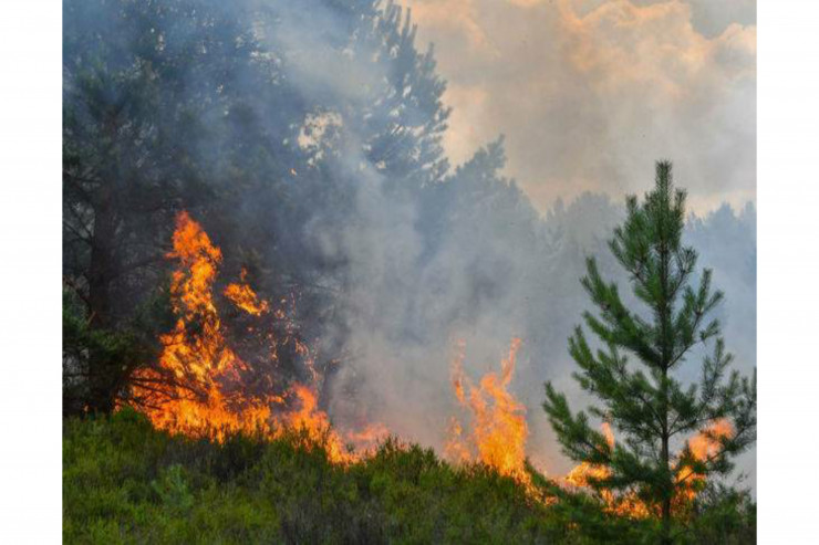 Oğuz meşələrindəki yanğın SÖNDÜRÜLDÜ 