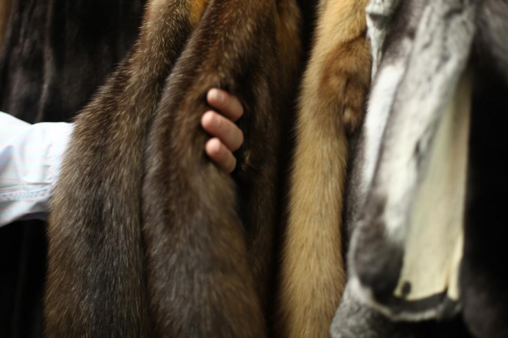 Bakının mərkəzində 3500 manatlıq palto OĞURLANDI 