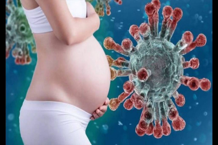 Koronavirus hamilə qadınlarda  uşağın psixikasına   necə təsir edir?