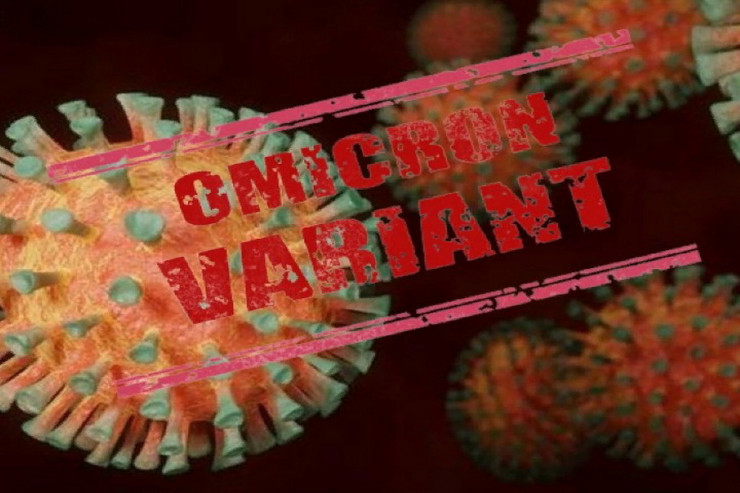 "Omicron" bu heyvana bənzəyir - FOTO 