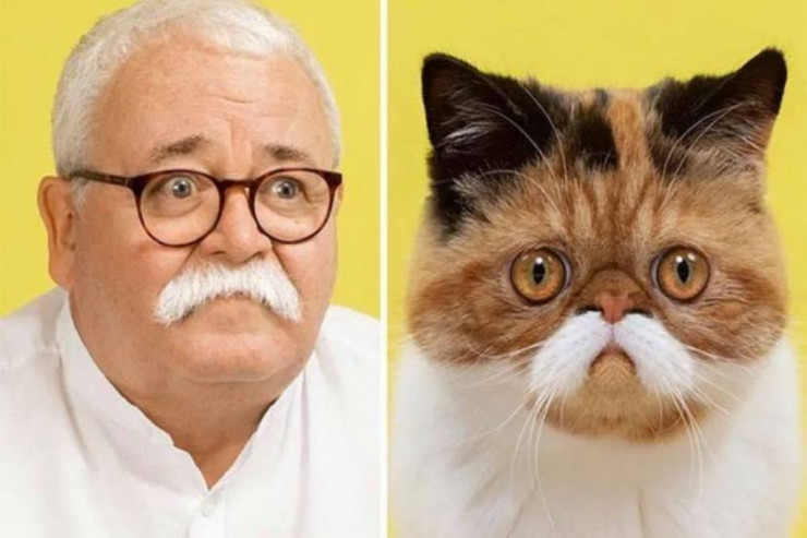 Pişiklərə oxşayan İNSANLAR - FOTOLENT 