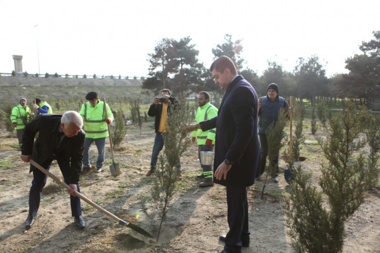 Bazarstore “10-cu il xatirə parkı”-nın açılışını etdi