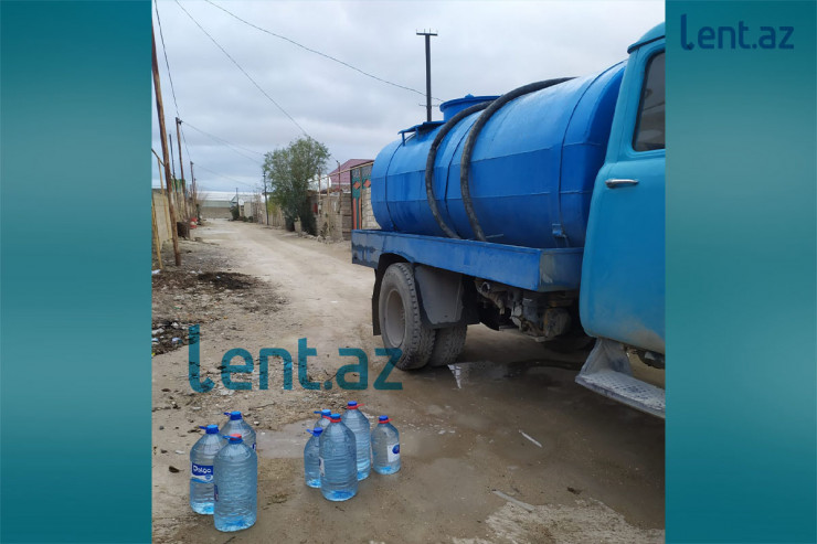 Quruyan quyular, susuz Binə - "Göygöz Kosa" nı kim qovacaq? -  FOTOLENT 