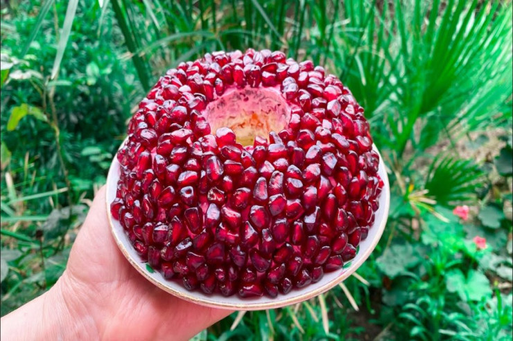 Bayram süfrənizin bəzəyi  NAR   SALATI –  Lent.az-ın MƏTBƏXİNDƏ  