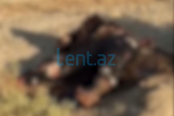 Bakıda cinsi azlığı buna görə öldürdülər - TƏFƏRRÜAT 