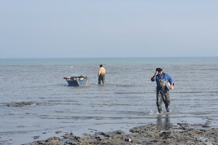 Qanunsuz ov edənlər saxlanıldı -  FOTO  