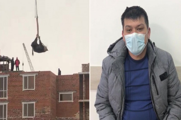 İnəyi kranla çoxmərtəbəli binanın damına qaldırdılar -  VİDEO  