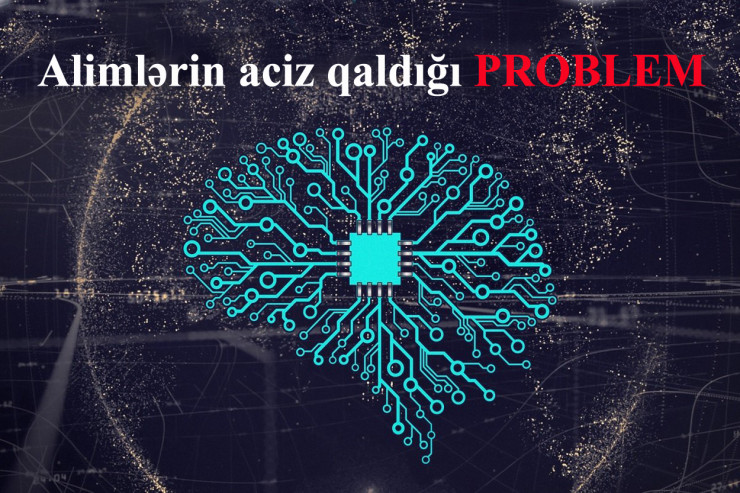 SÜNİ ZƏKA  bubliklə ponçiki ayıra bilmədi