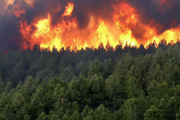 Hirkan qoruğundakı yanğın söndürüldü