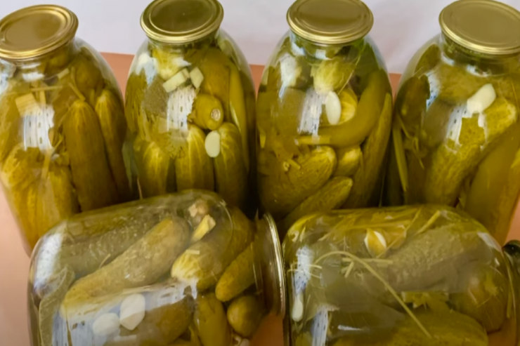 İki il də qalsa, xarab olmayan xiyar turşusu-  Lent.az-ın MƏTBƏXİNDƏ 