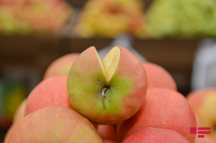 Həftəsonu keçiriləcək kənd yarmarkalarının  ÜNVANLARI 