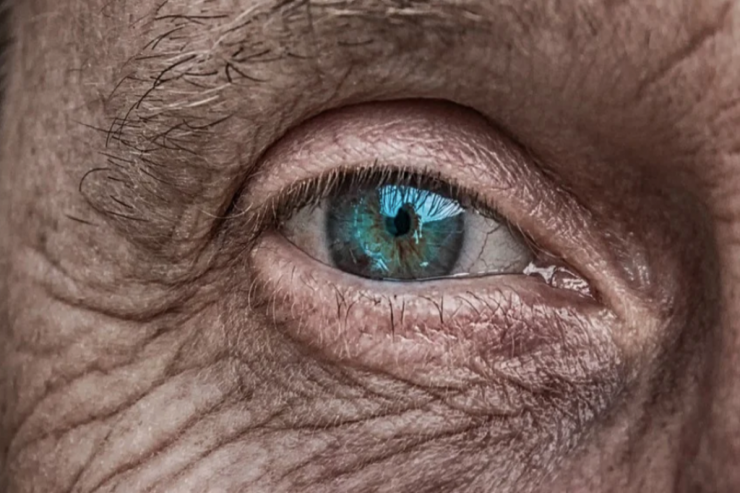 Ölüm tarixinizi belə  proqnozlaşdıra   biləcəksiniz