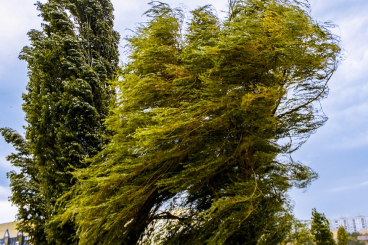 Sabah güclü külək əsəcək -  PROQNOZ 