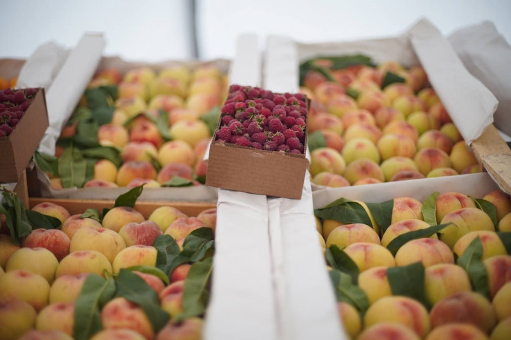 Həftəsonu kənd yarmarkaları keçiriləcək -  ÜNVANLAR  