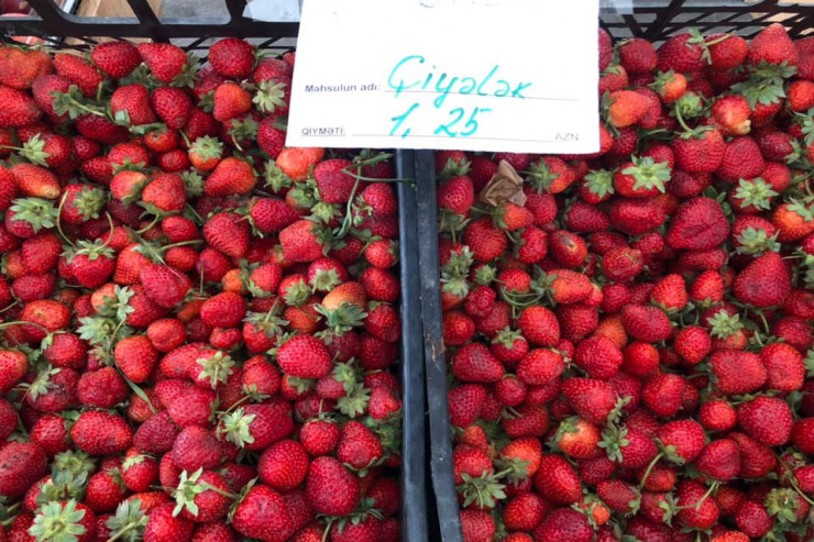 Həftəsonu kənd yarmarkalarındakı QİYMƏTLƏR  - FOTOLENT 