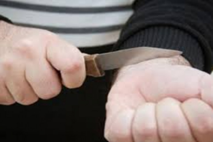 Dostunu öldürdü, öz qolunu da kəsib atdı - Azərbaycanda ŞOK  - VİDEO 