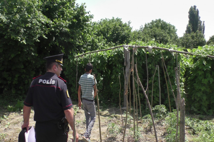 Narkotik əkilən yerdə əməliyyat