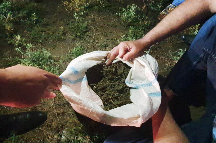 Qurudulmuş marixuana